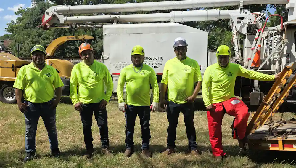Tree Services and Affordable Tree Tremoval A-Team in Clemson