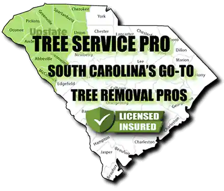 Affordable Tree Service in Clemson - Tree Removal Near Me - SC
