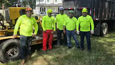 Tree-Service-Pro - A Team - Easley Tree Removal Professionals