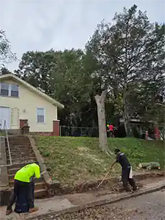 Tree Cutters Tree Professionals in Simpsonville